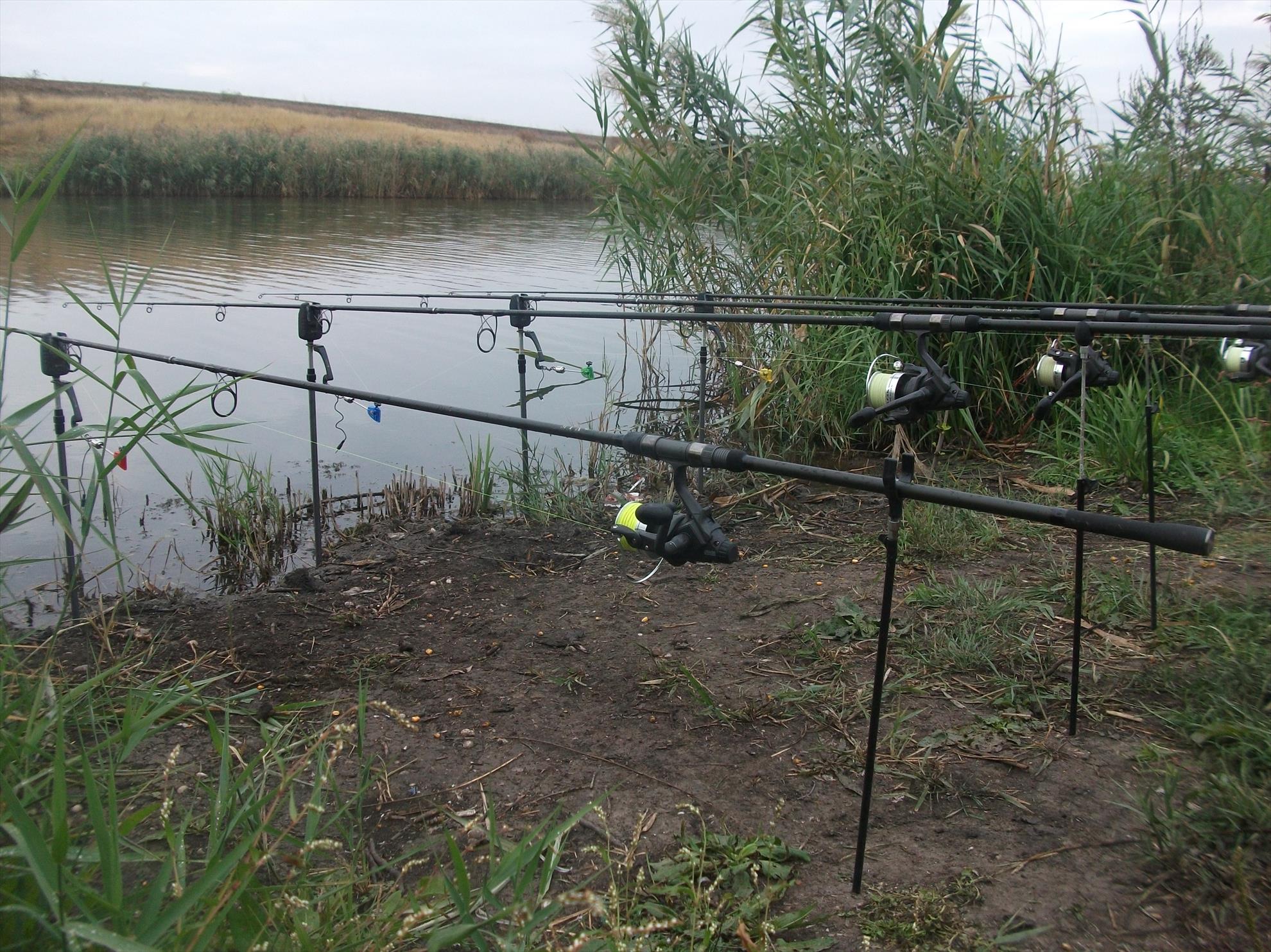 diverse - dscf1620.jpg